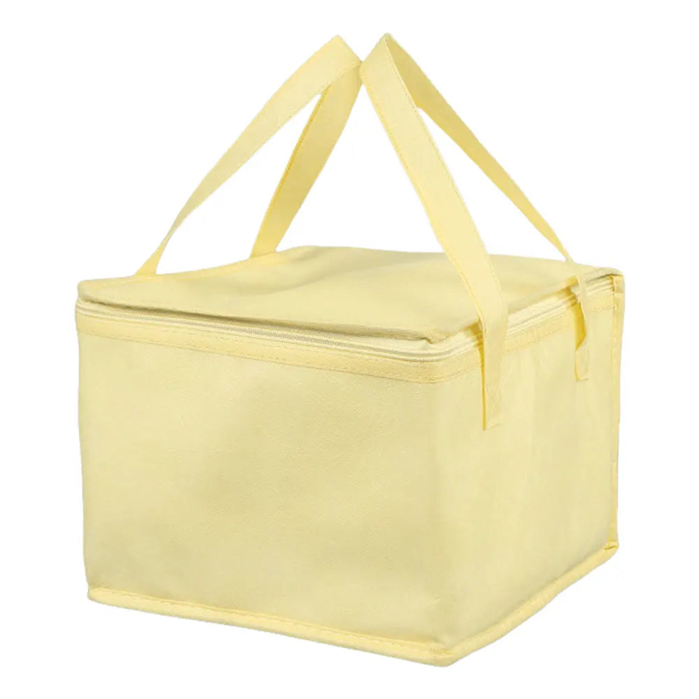 Reusable Insulated Bag for Pizza Delivery and Picnics