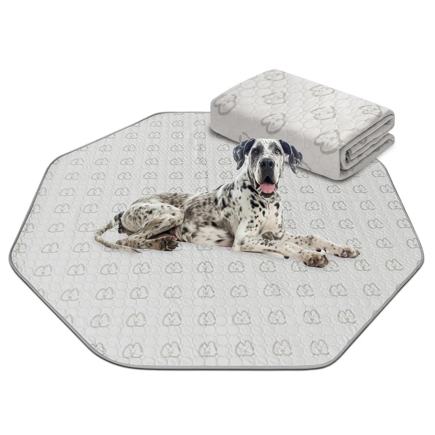 FXW Washable Dog Pee Pads for Crate Training Sofa Bed