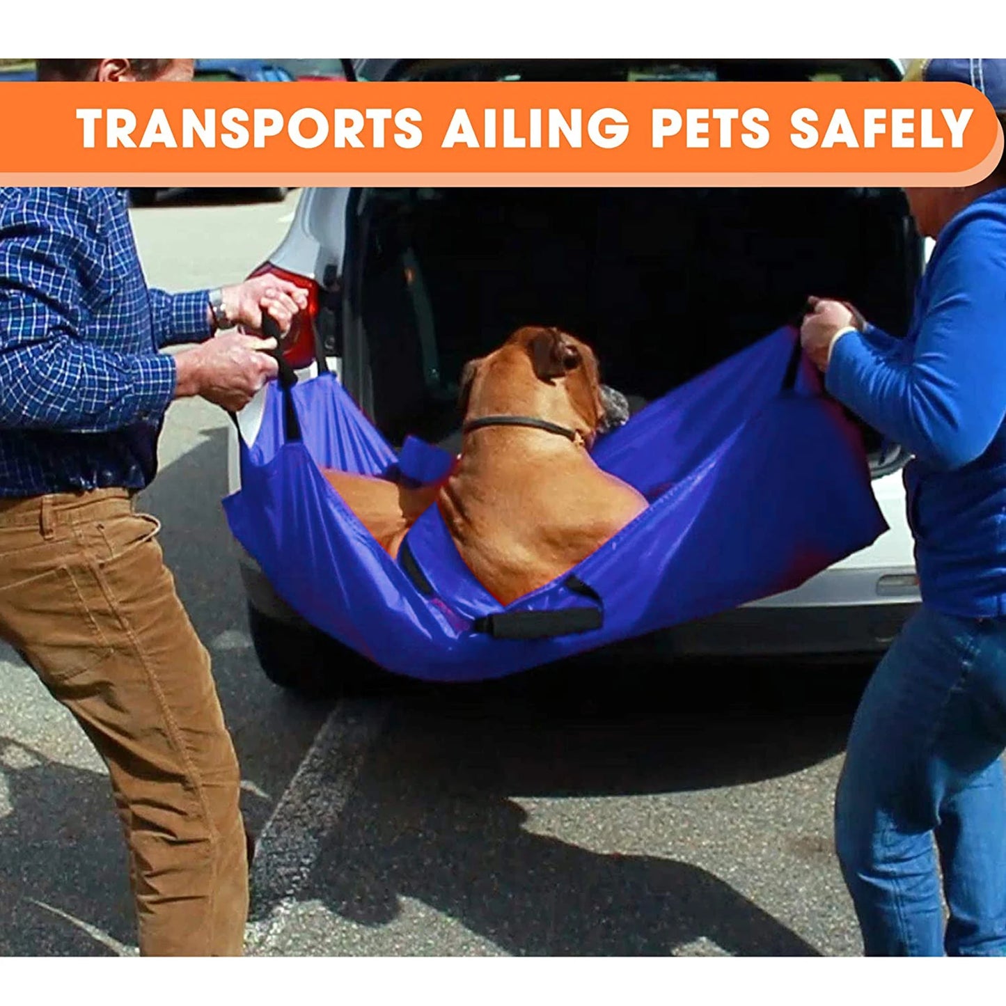 Pet Transport Stretcher Foldable Emergency Animal Carrier Anti Bite Nylon with 6 Handles 132 lb Capacity for Dogs and Large Breeds