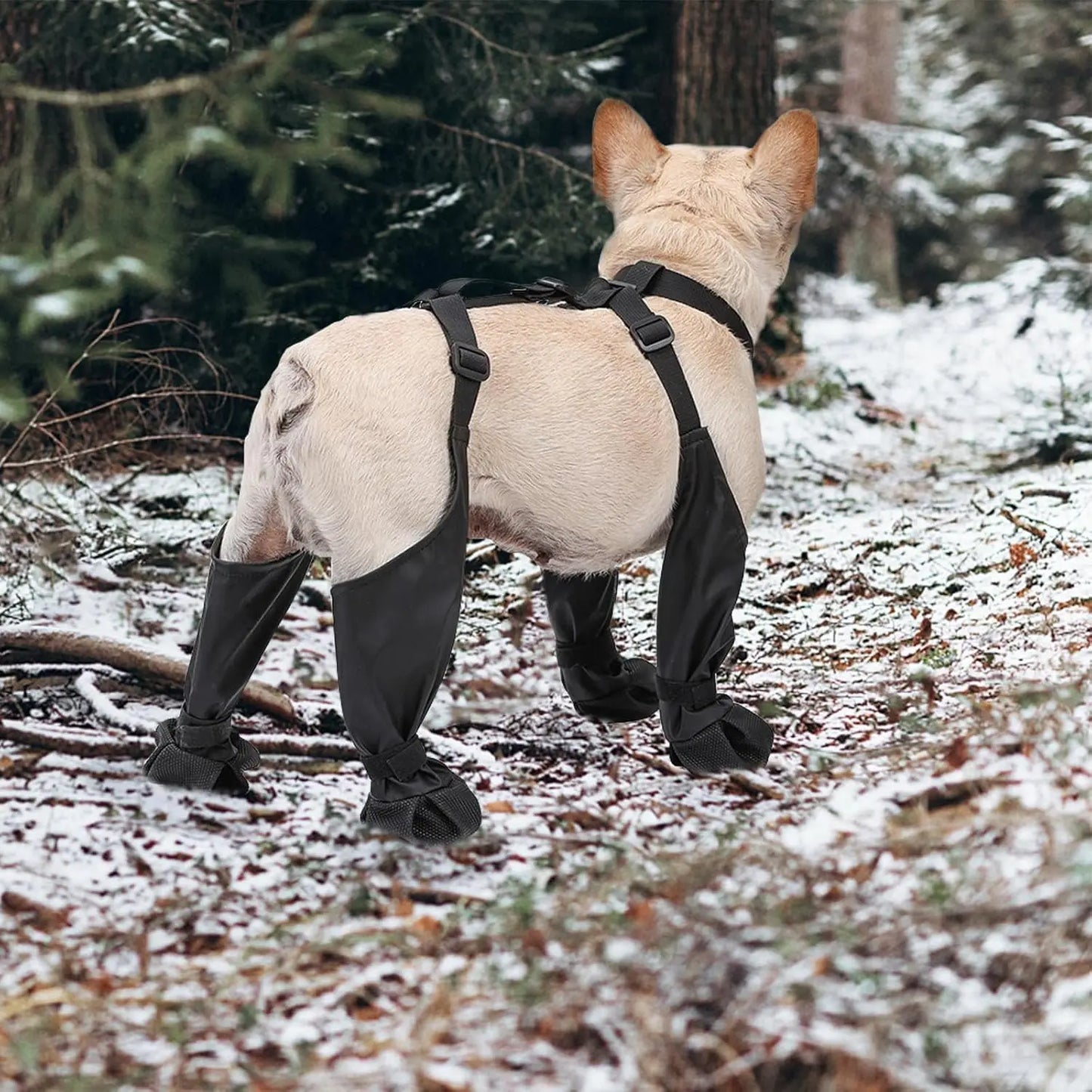 Outdoor Walking Dog Boot Leggings for Small Medium Large Dogs Waterproof Snowy Paw Protectors