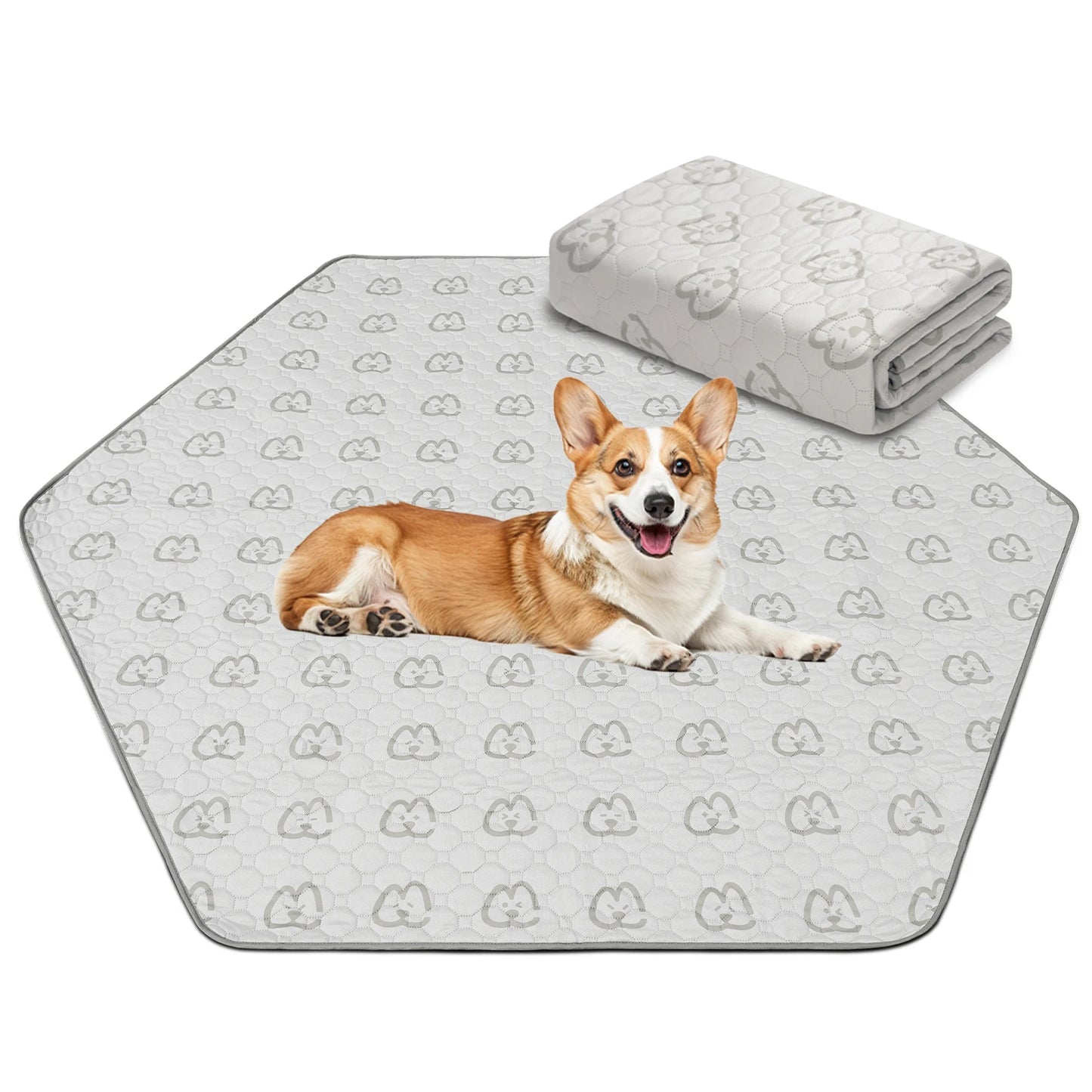 FXW Washable Dog Pee Pads for Crate Training Sofa Bed