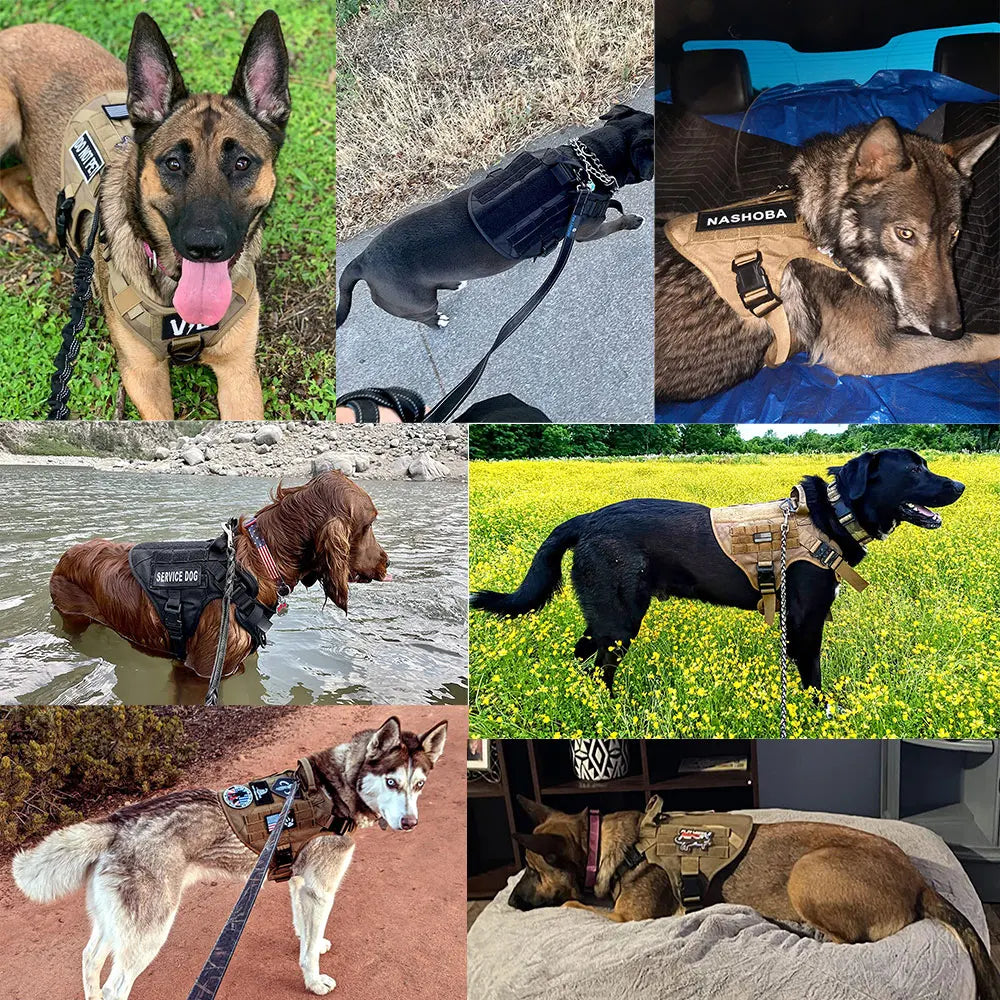 Military Large Dog Harness Set with Collar Leash Bags and Patches for Malinois Training Tactical Vest Accessories
