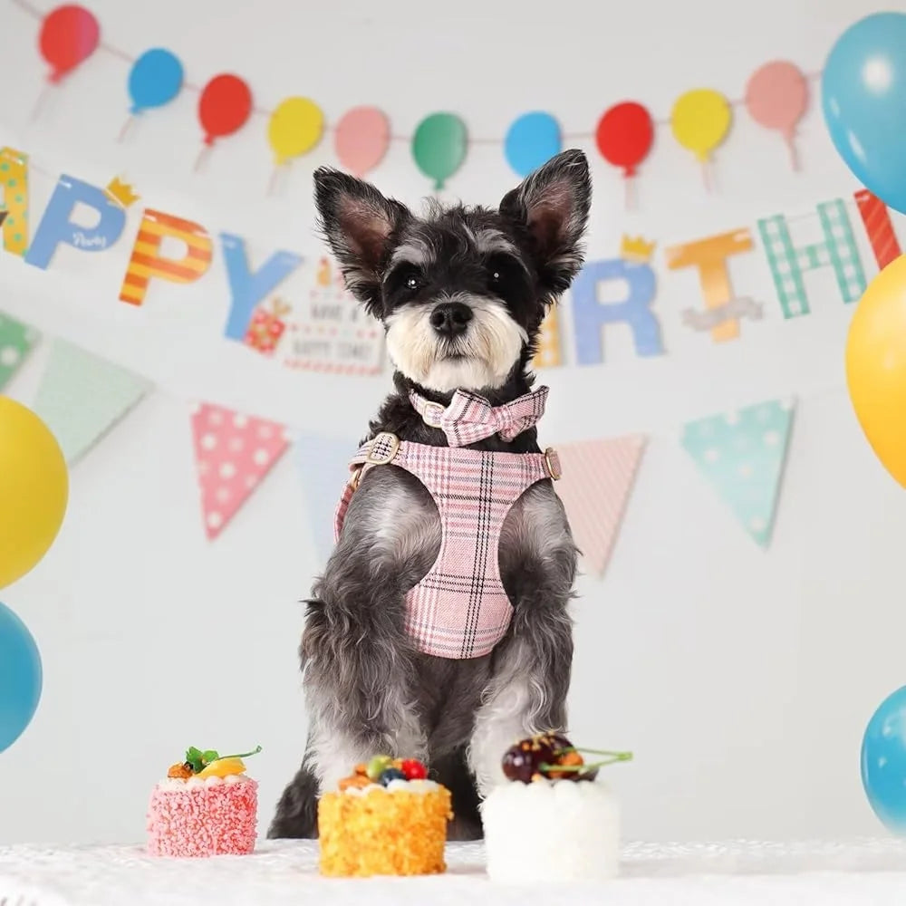 Cute Small Dog Harness Collar Leash Set Adjustable Soft Plaid Design for Extra Small Dogs and Cats Ideal for Walks and Parties