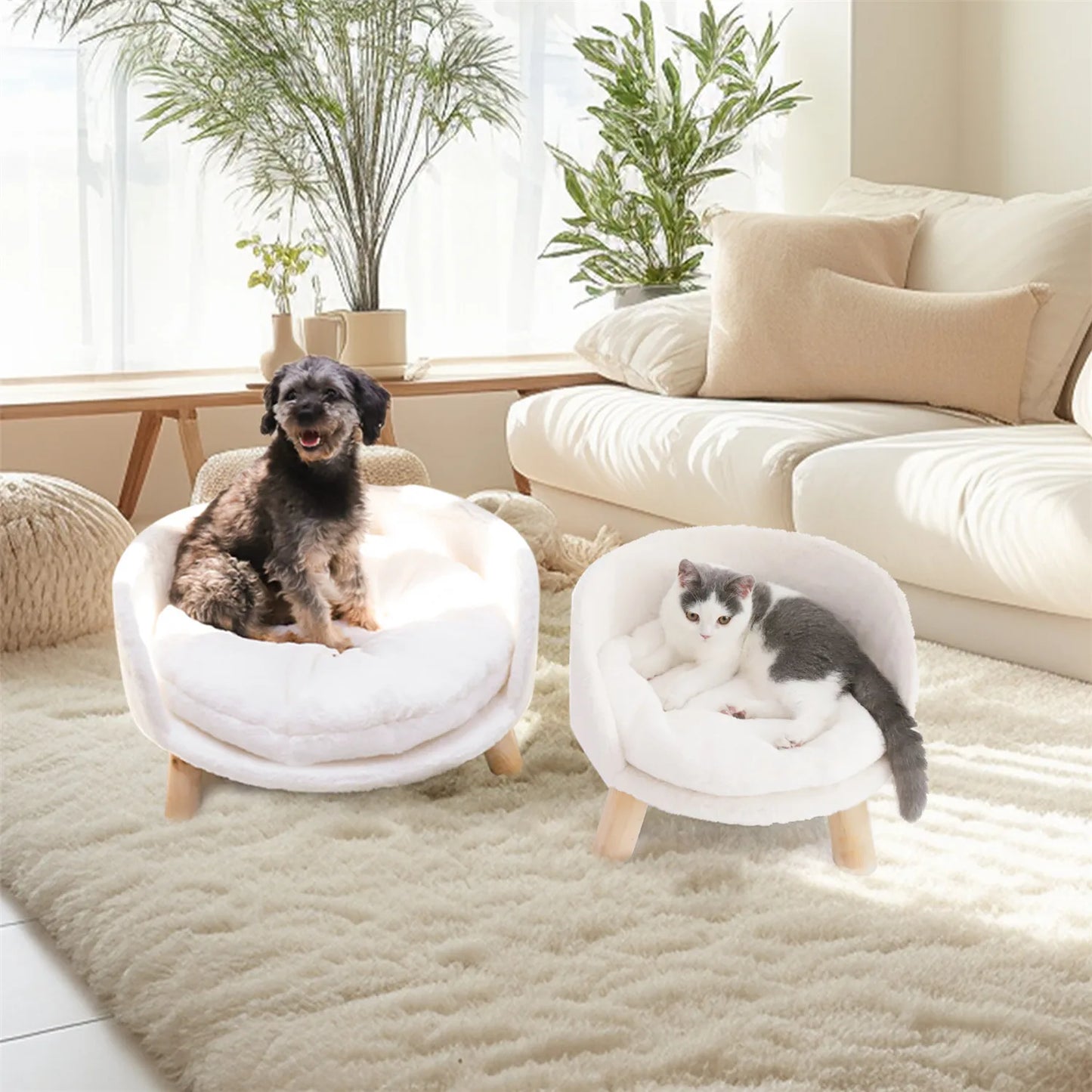 Raised Pet Sofa Bed For Cats And Small Dogs With Cushion